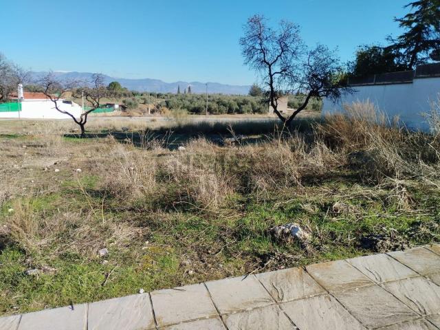 Terreno, Otura