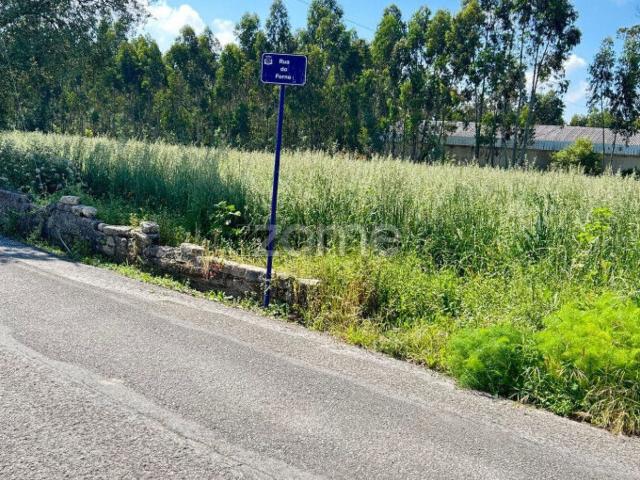 Terreno, Ouca