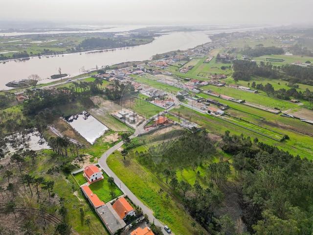 Terreno, Ovar