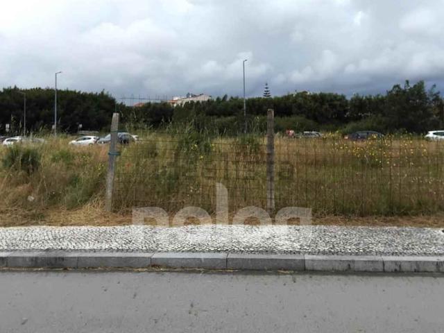 Terreno, Ovar