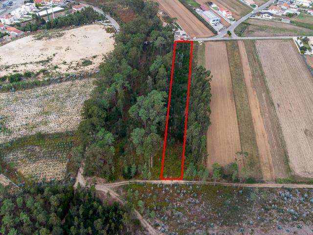 Terreno, Ovar, São João, Arada e São Vicente de Pereira Jusã, Ovar | BPI Expresso Imobiliário