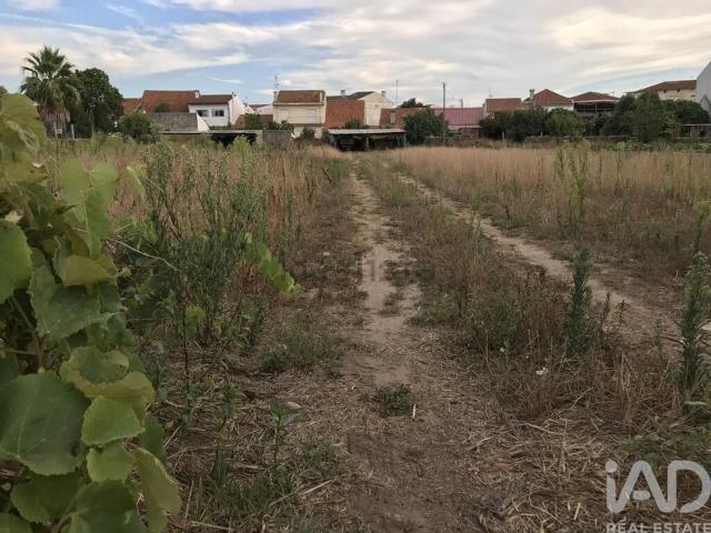 Terreno, Ovar