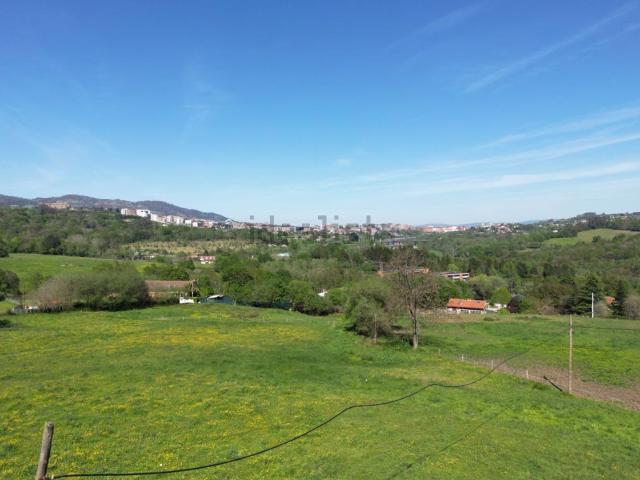Terreno, Oviedo