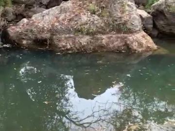 Terreno o granja 10 has las mesitas Sta Lucia