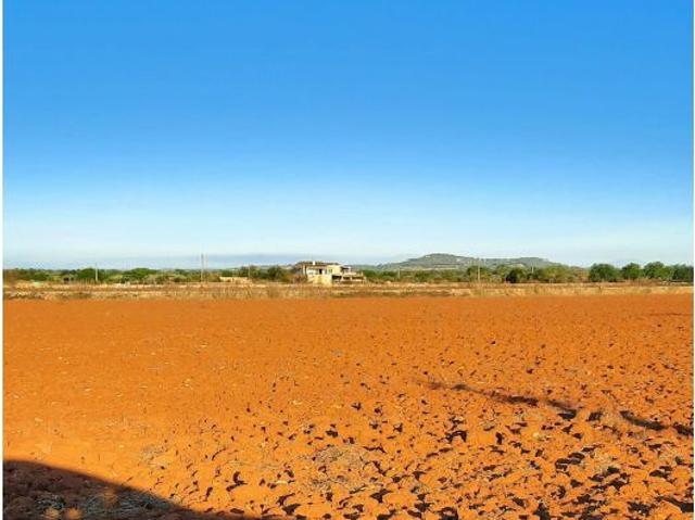 Terreno o finca edificable con proyecto edificación