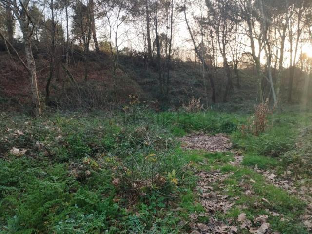 Terreno, O Porriño
