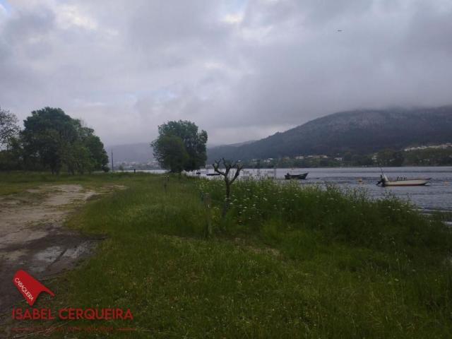 Terreno, O Rosal