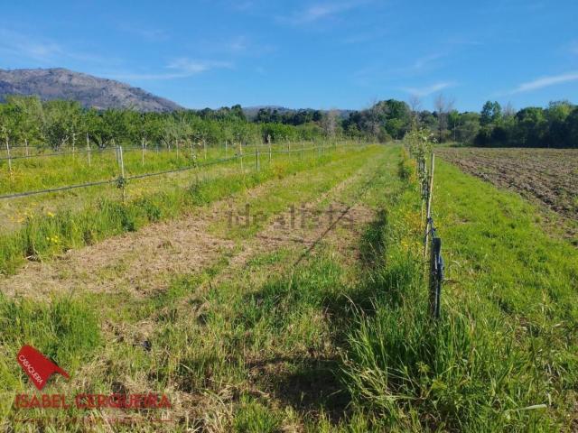 Terreno, O Rosal