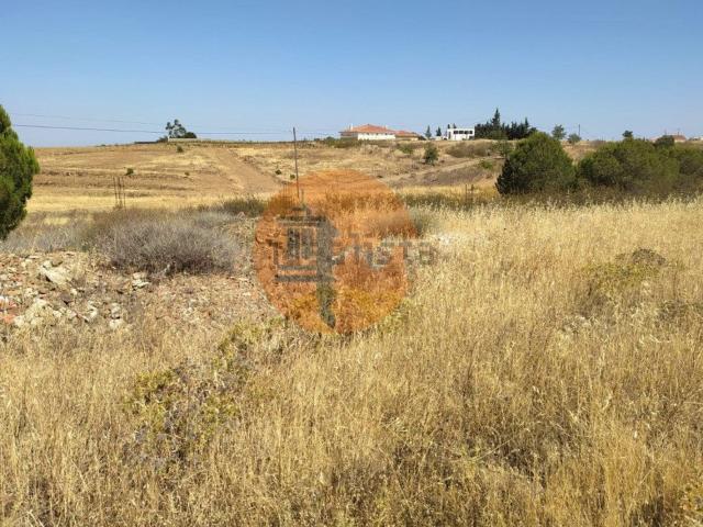 Terreno, Odeleite