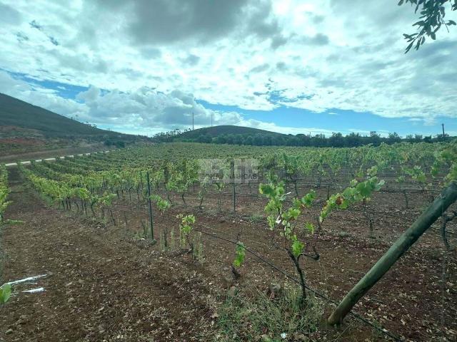 Terreno, Odiáxere