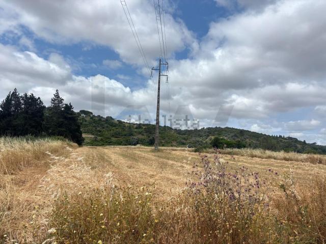Terreno, Odiáxere