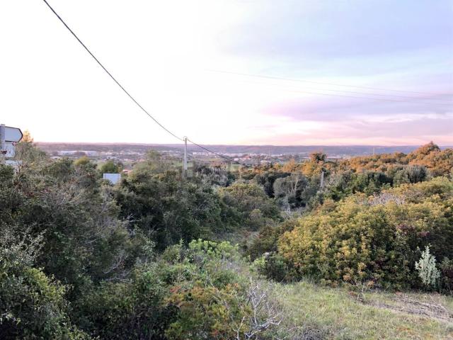 Terreno, Odiáxere