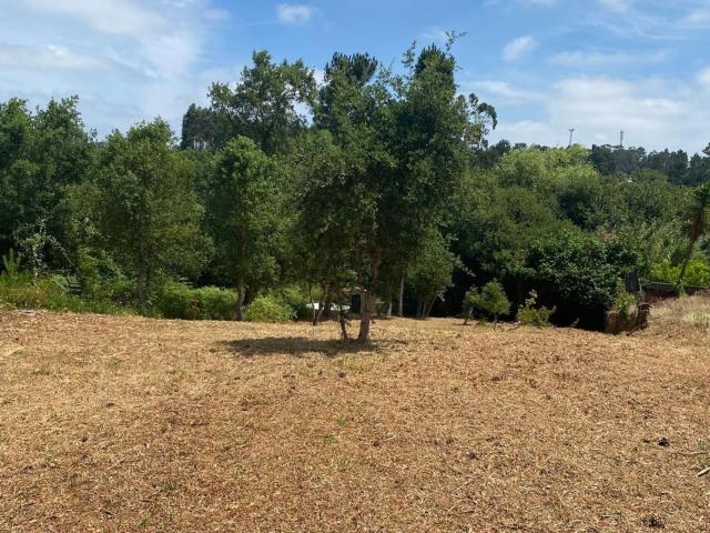 Terreno, Oiã