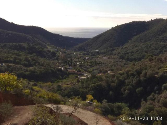 Terreno, Ojén