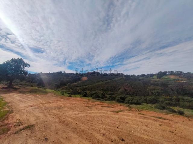 Terreno, Ojén
