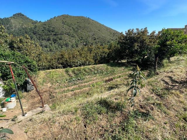 Terreno, Ojén