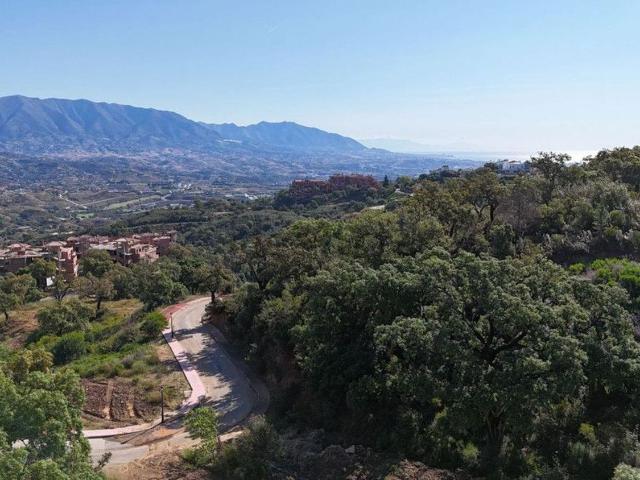 Terreno, Ojén