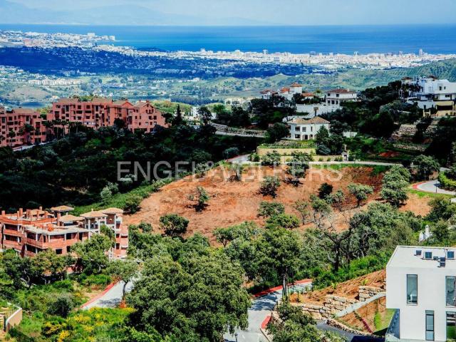 Terreno, Ojén