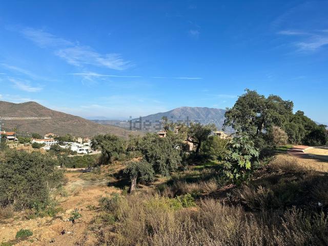 Terreno, Ojén