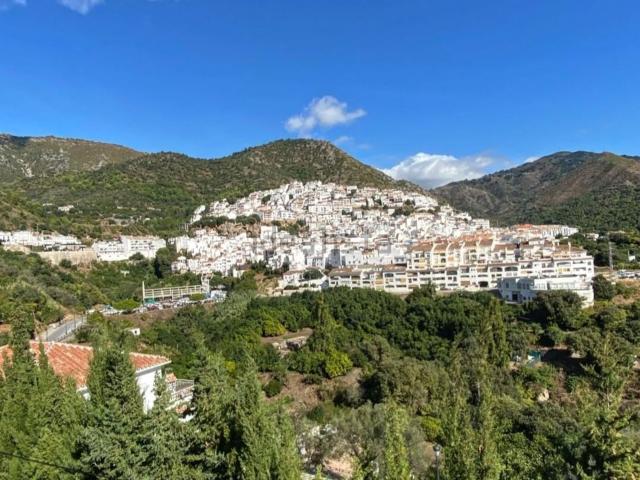 Terreno, Ojén