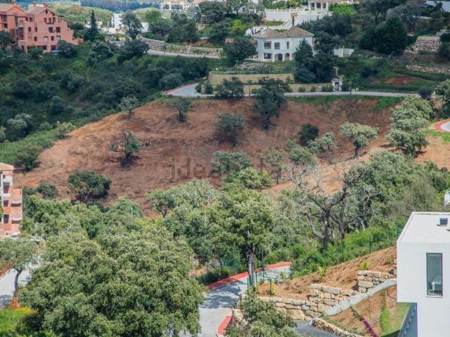 Terreno, Ojén