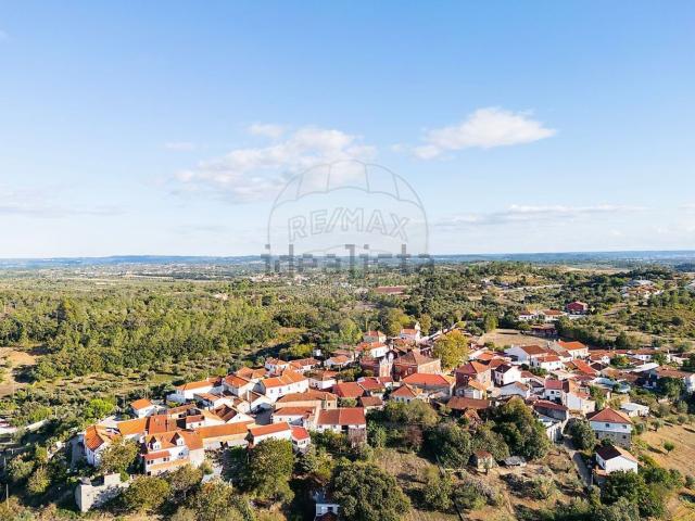 Terreno, Olaia e Paço