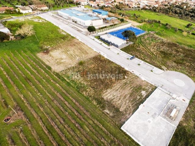 Terreno, Olaia e Paço