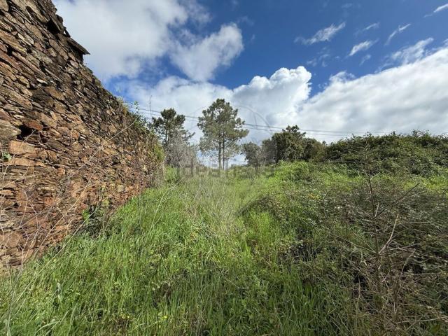Terreno, Olalhas