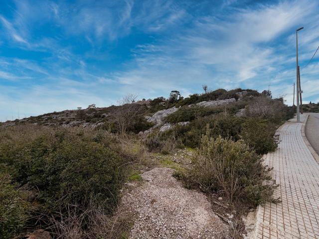 Terreno, Olesa de Bonesvalls