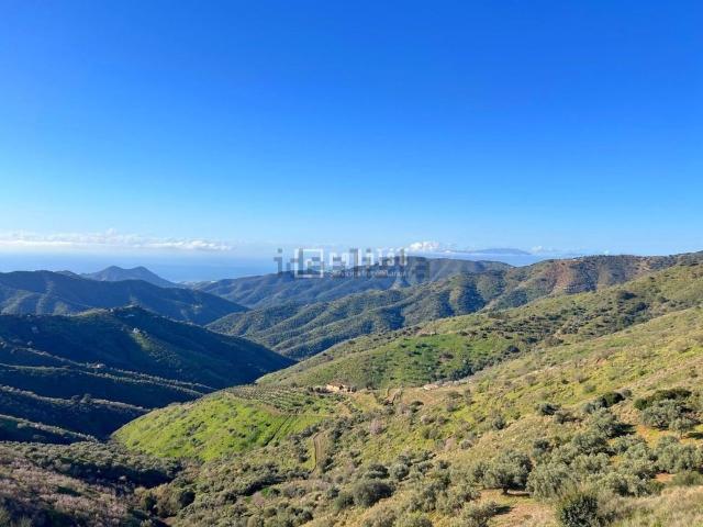 Terreno, Cortes de la Frontera