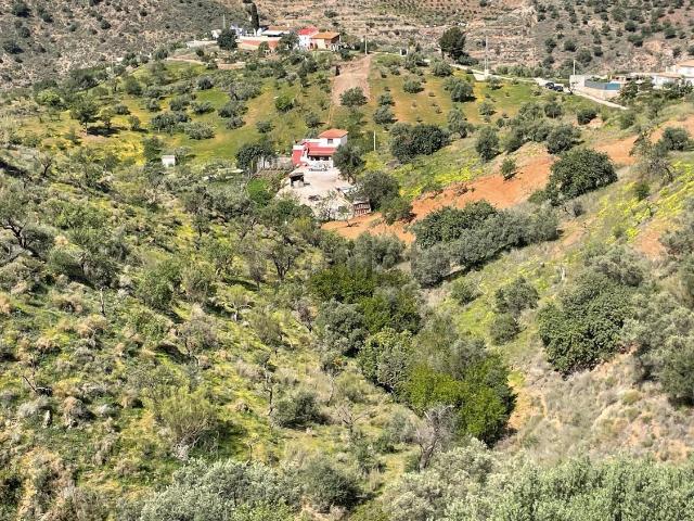 Terreno, Olías, Málaga