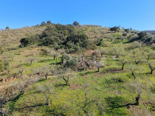 Terreno, Olías, Málaga