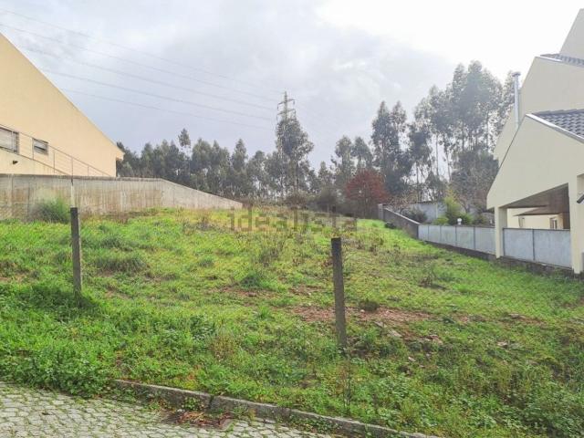 Terreno, Olival