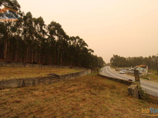 Terreno Olival com 11280 m2 Face a En 222 com 124 metros de Frente | 26083243860