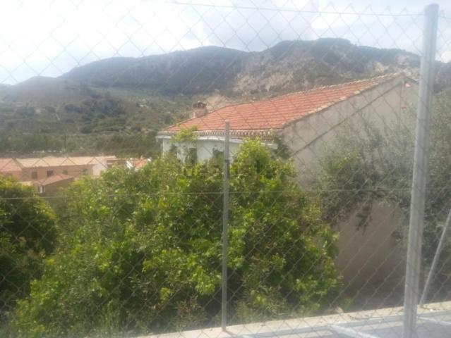 Terreno, Olivares