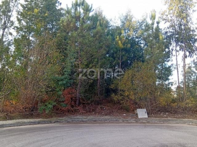 Terreno, Oliveira de Azeméis Santiago da Riba Ul Ul Macinhata da Seixa Madail