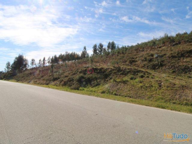 Terreno ? Oliveira de Frades | 26063529352