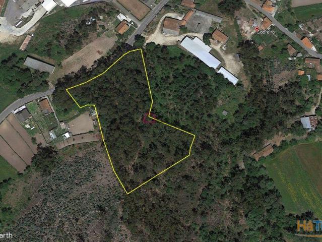 Terreno ? Oliveira de Frades | 26064072524