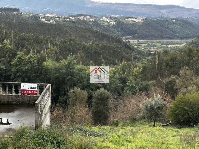 Terreno, Oliveira do Mondego e Travanca do Mondego