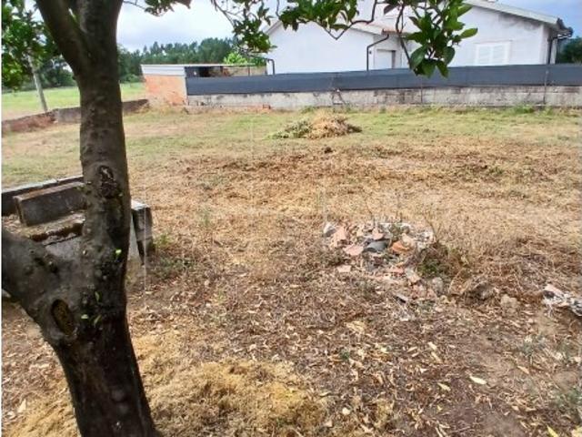 Terreno Oliveira do Bairro