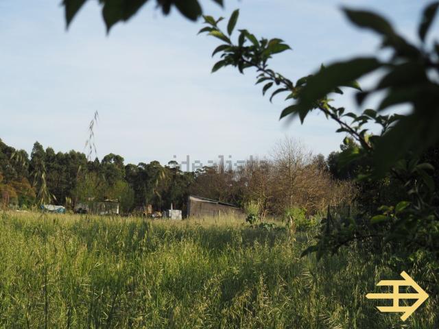 Terreno, Oliveira do Bairro