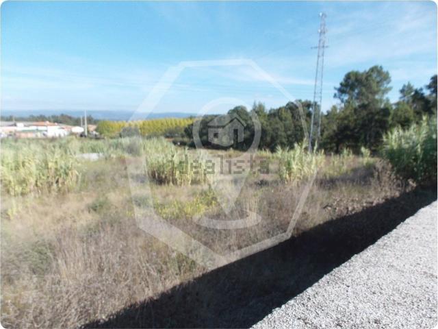 Terreno, Oliveira do Bairro