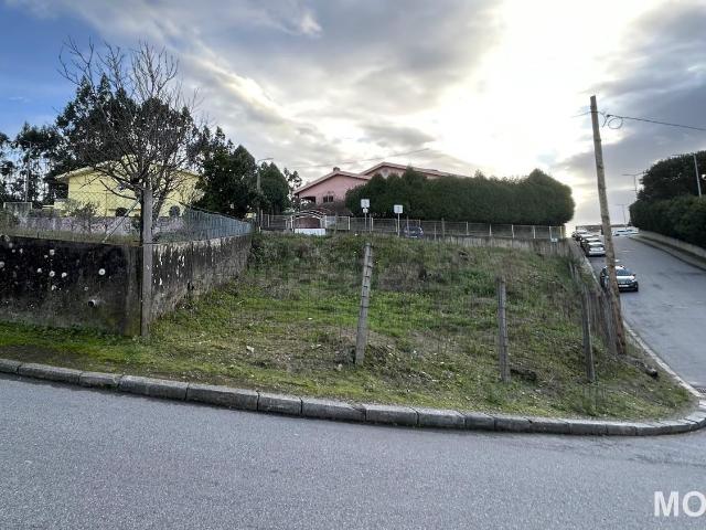 Terreno, Oliveira do Douro