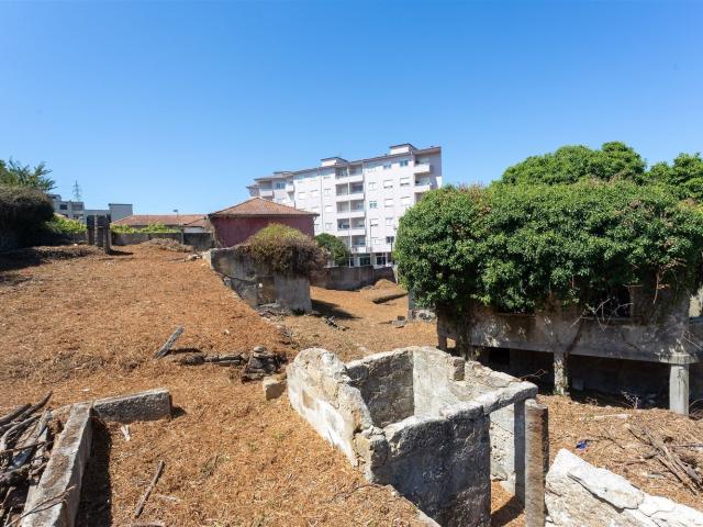 Terreno, Oliveira do Douro