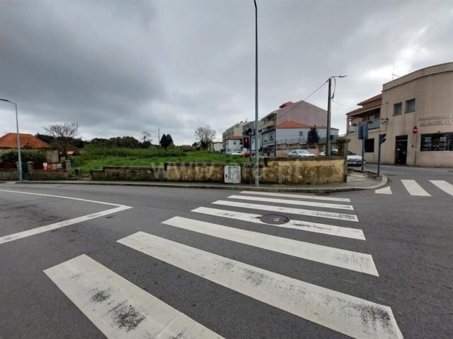 Terreno, Oliveira do Douro