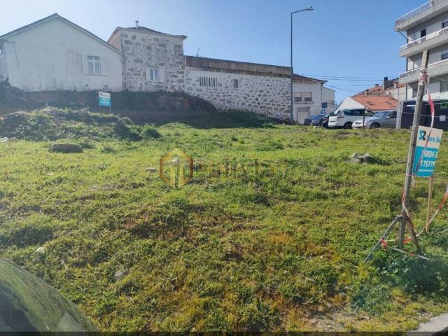 Terreno, Oliveira do Douro