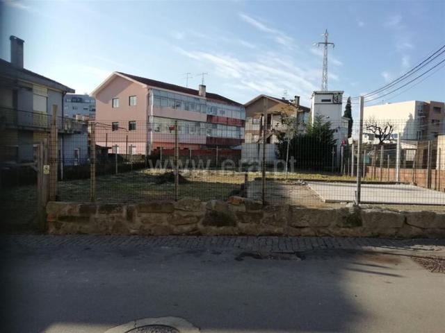 Terreno, Oliveira do Douro