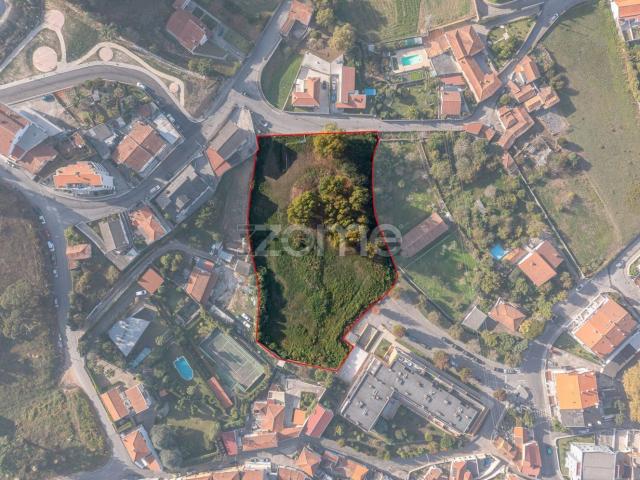 Terreno, Oliveira do Douro