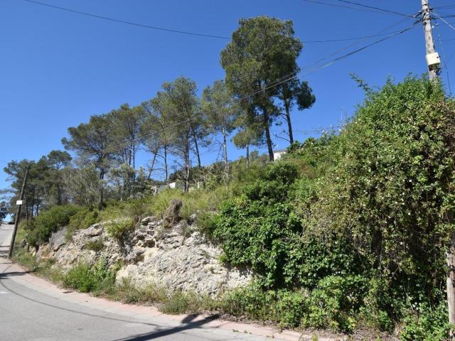 Terreno, Olivella