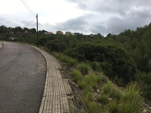 Terreno, Olivella